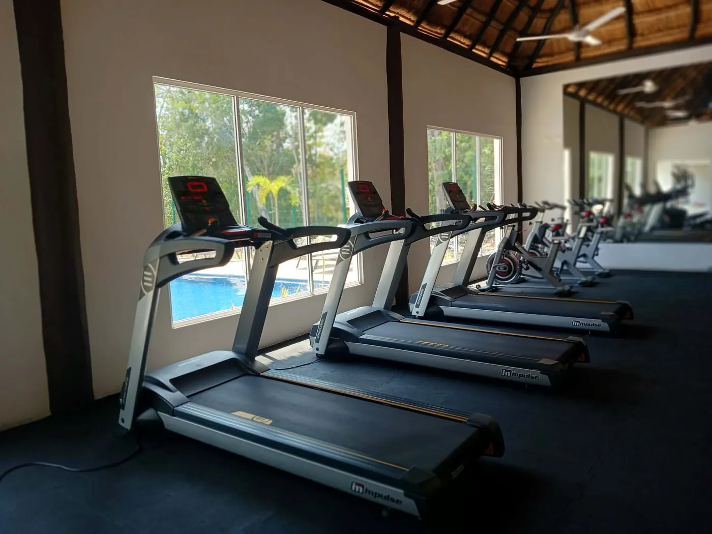 Gimnasio